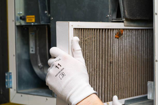 Best Air Duct Cleaning Company Near Me  in Lantana, TX