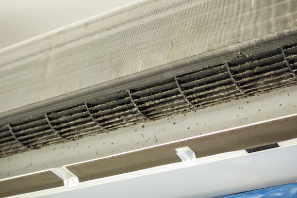 Best Affordable Air Duct Cleaning  in Lantana, TX